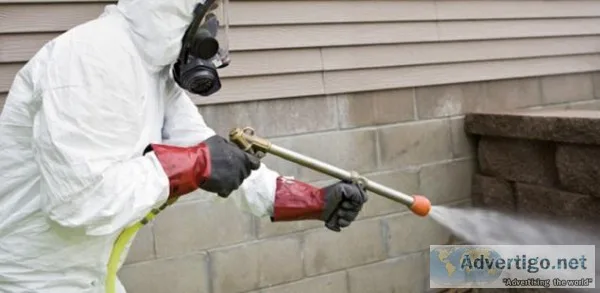 Termite Inspection Redland