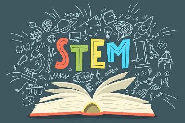 Why Is STEM So Important In Early Childhood Education