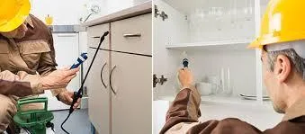 Get Mice Control In Mississauga