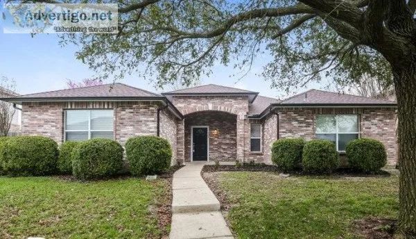 House for rent