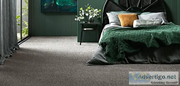 Are you looking for Triexta carpets