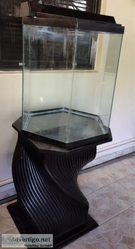 40 Gallon Hexagon Aquarium wStand