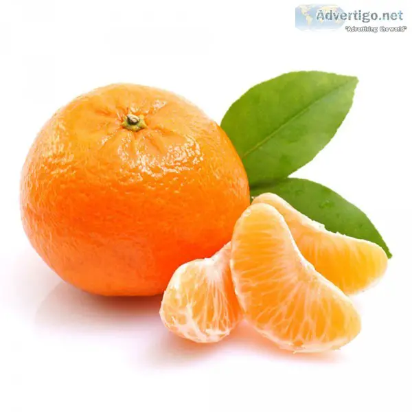 Tangerine exporter in iran