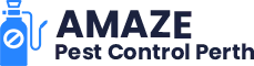 Effective Cockroach Control Perth Treatment