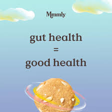 healthy cookies to buy