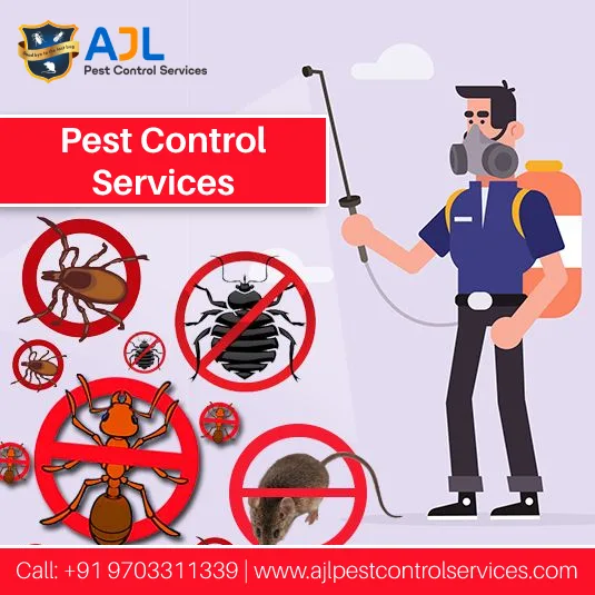 Pest control services in kukatpally