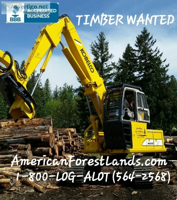 Logging Company Thurston County Washington Timber sales cedar fi