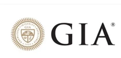 Best Jewellary Designing Institute in India - GIA India