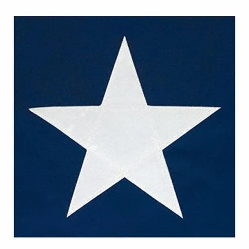texas flags