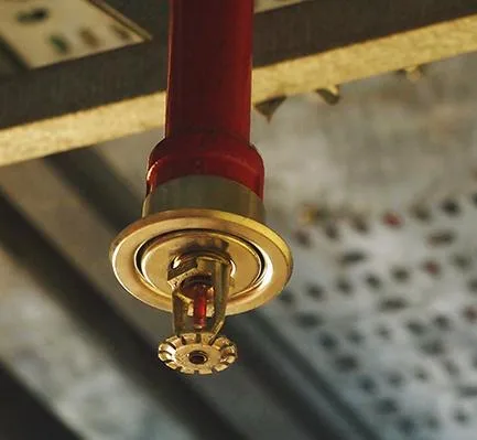 Fire Sprinkler Inspection