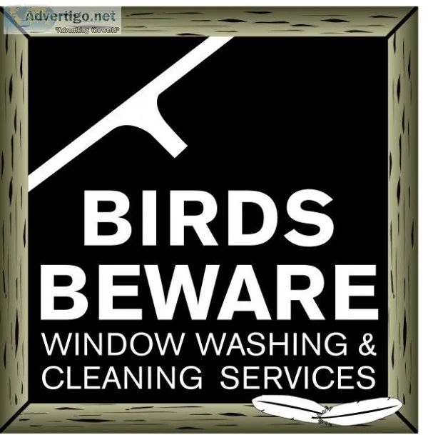 Gutter cleaning Aspen