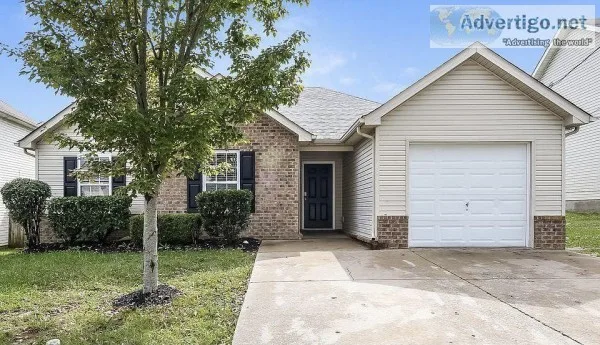 105 Berele Shepsele Ln La Vergne TN 37086