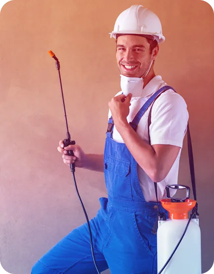 Pestico pest control Brisbane offer Best Spider Eradication Trea