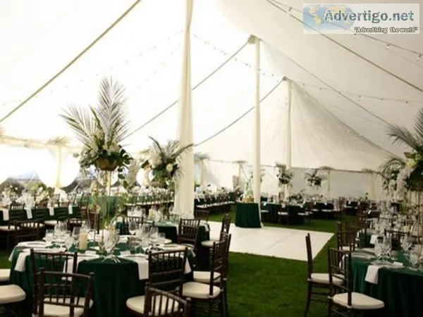 Wedding DJ Entertainment