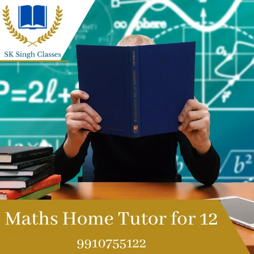 Maths Home Tutor for 12