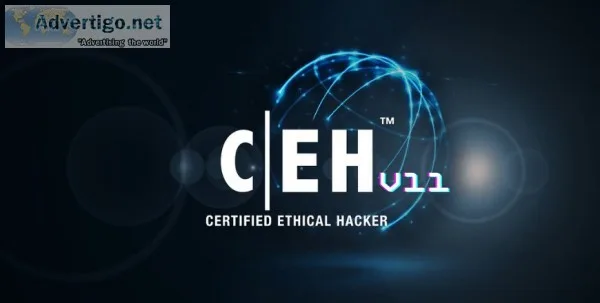 Ethical hacker course online in india