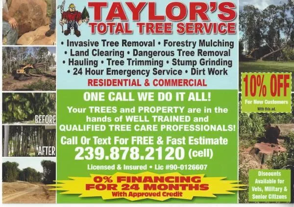 Dangerous Tree Removal-Land Clearing-Tree Trimming