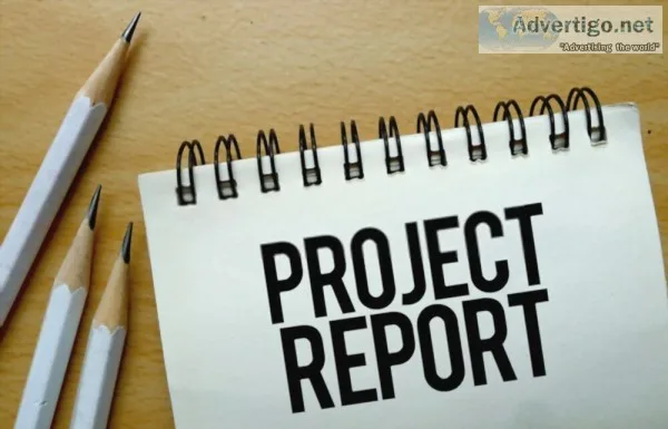 Detailed project report