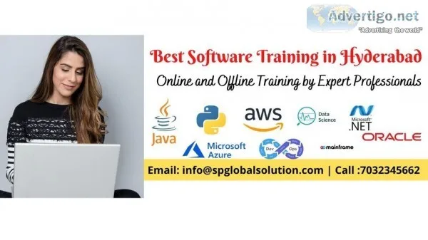 Software training institutes