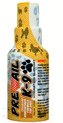 Dogs health