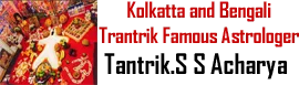 Best astrologer in bangalore - 100% accurate prediction