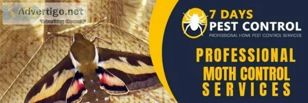 Moth Control Brisbane