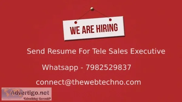 Tele sales executive