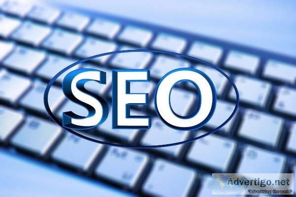 Search Engine Optimization Tampa Fl