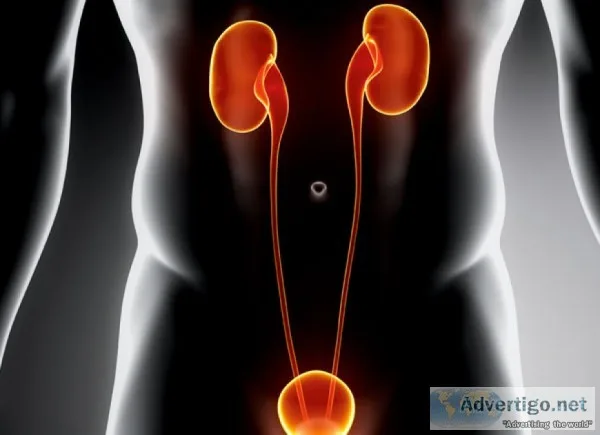 Specialist cancer surgon urology cancer doctor in jaipur