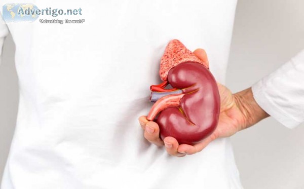 Kidney cancer surgery cost in coimbatore - kidney cancer treatme