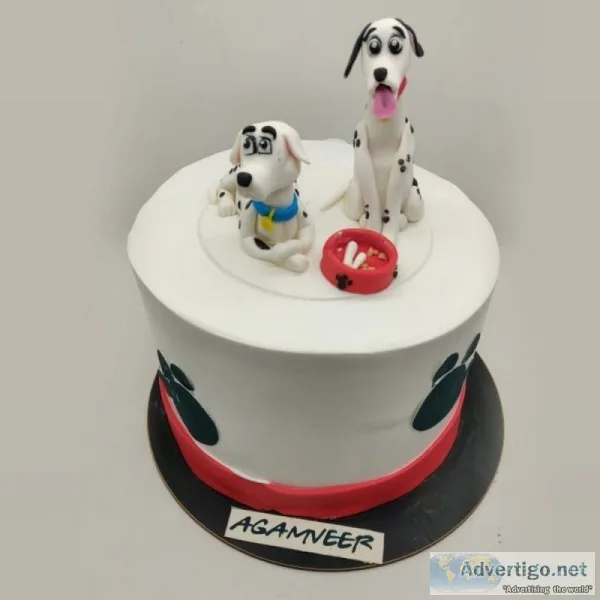 Designer cake delivery in Chandigarh | Cake plants & flowers