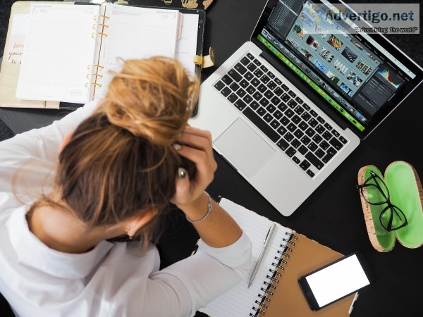 High quality essay services