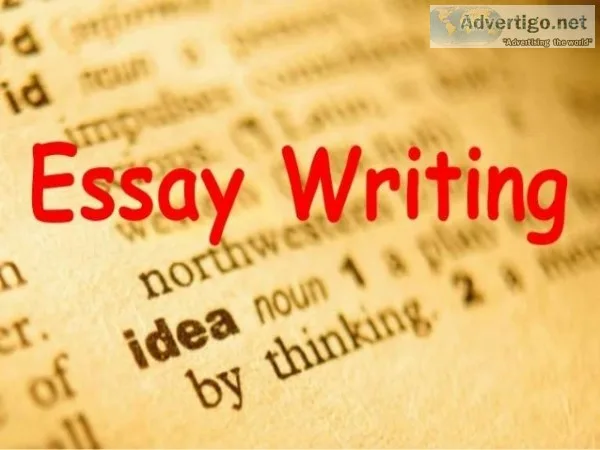 Best essay writing services