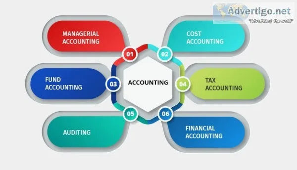 Delhi chartered accountant - rbg consultant