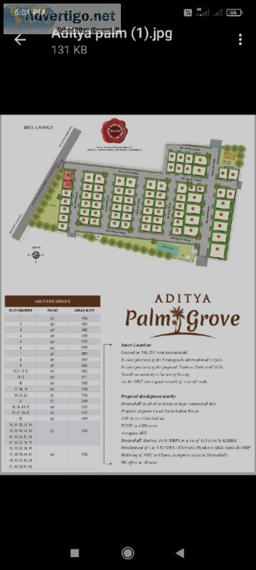Aditya palm