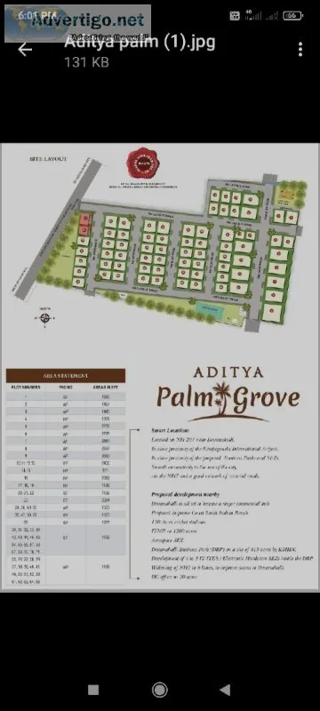 Aditya palm