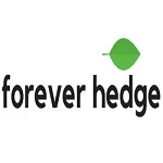 Best place to buy small artificial plants in australia
