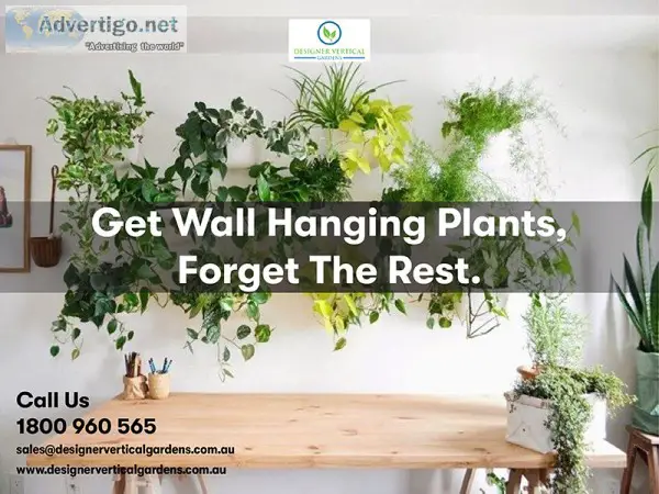 Get wall hanging plants and beautify your home