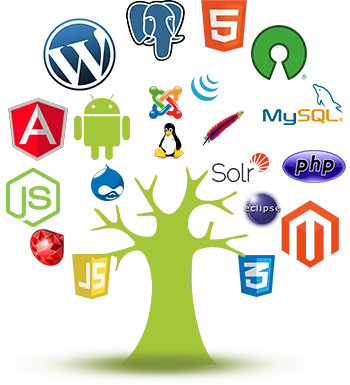 Ecommerce website development company in Lucknow