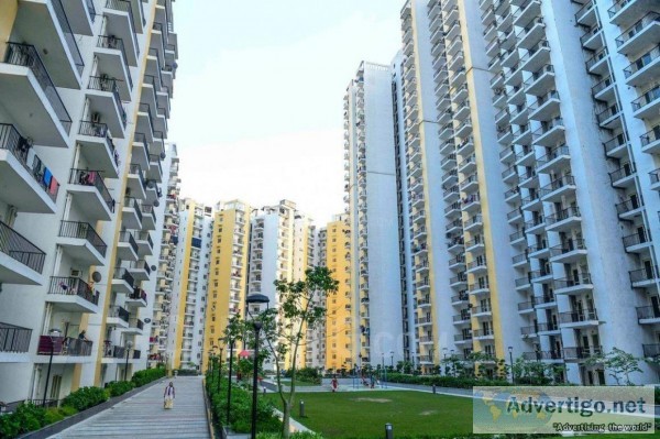 Beautiful flats for rent in noida extension