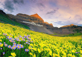 Travel agency in coimbatore