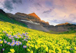 Travel agency in coimbatore