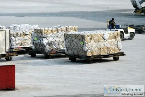 Freight Logistics Solutions for All Your freight Needs