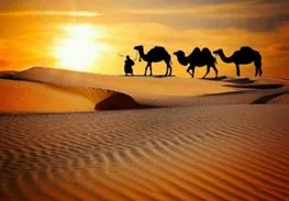 Travel agency in coimbatore