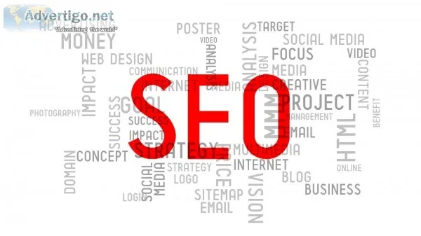 Search engine optimization in usa