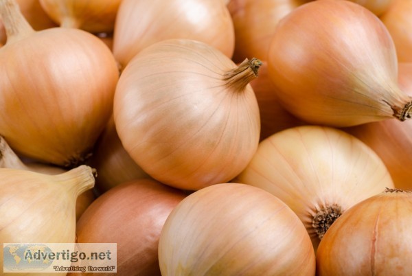 Iranian onion