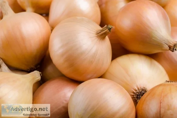 Iranian onion