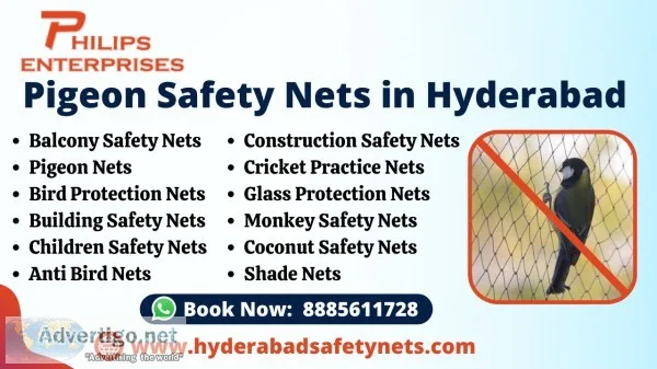 Pigeon safety net in hyderabad