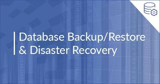 Database Installation Configuration &ndash Nspl.services Chennai
