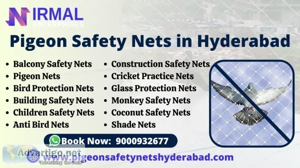 Pigeon safety net in hyderabad